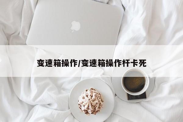 变速箱操作/变速箱操作杆卡死